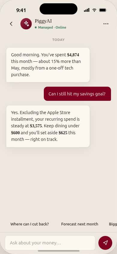 PiggyAI chat screen